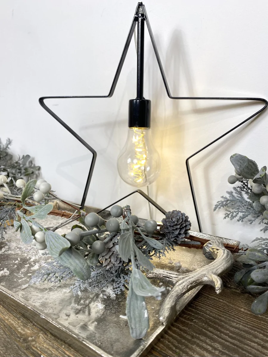 Lion Walk Christmas Gift Guide