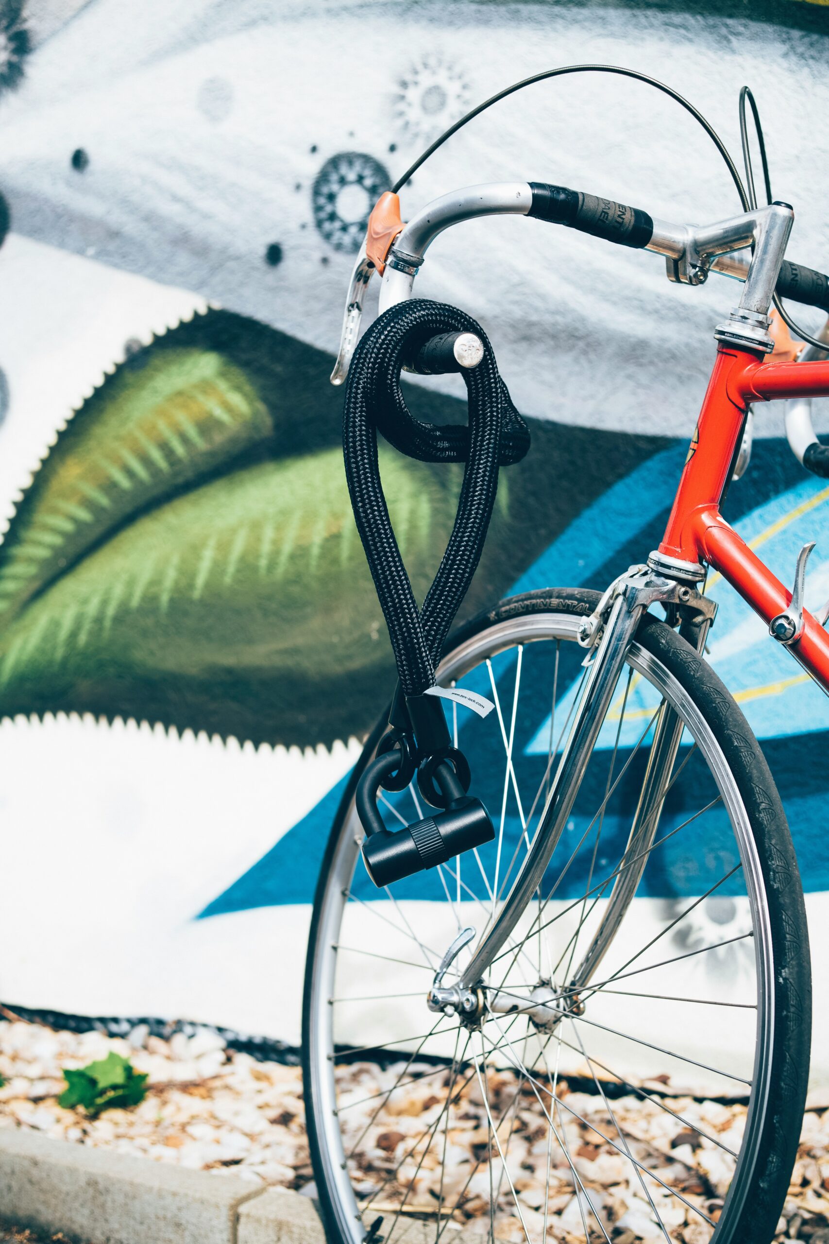 Be wise and Bike Wise