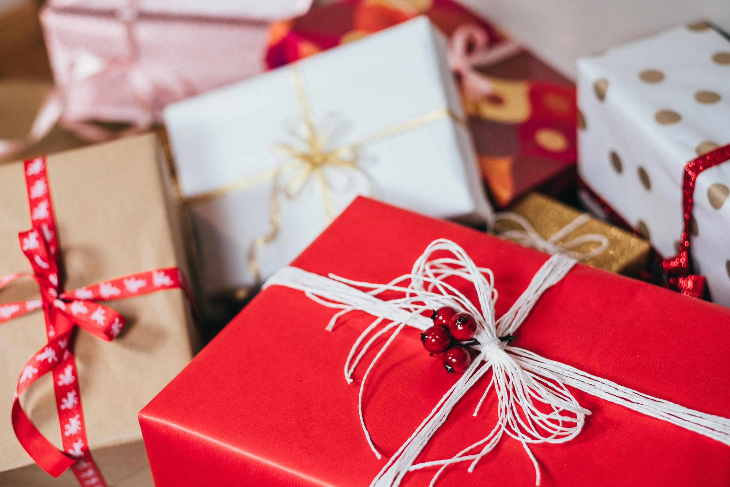 Lion Walk Christmas Gift Guide