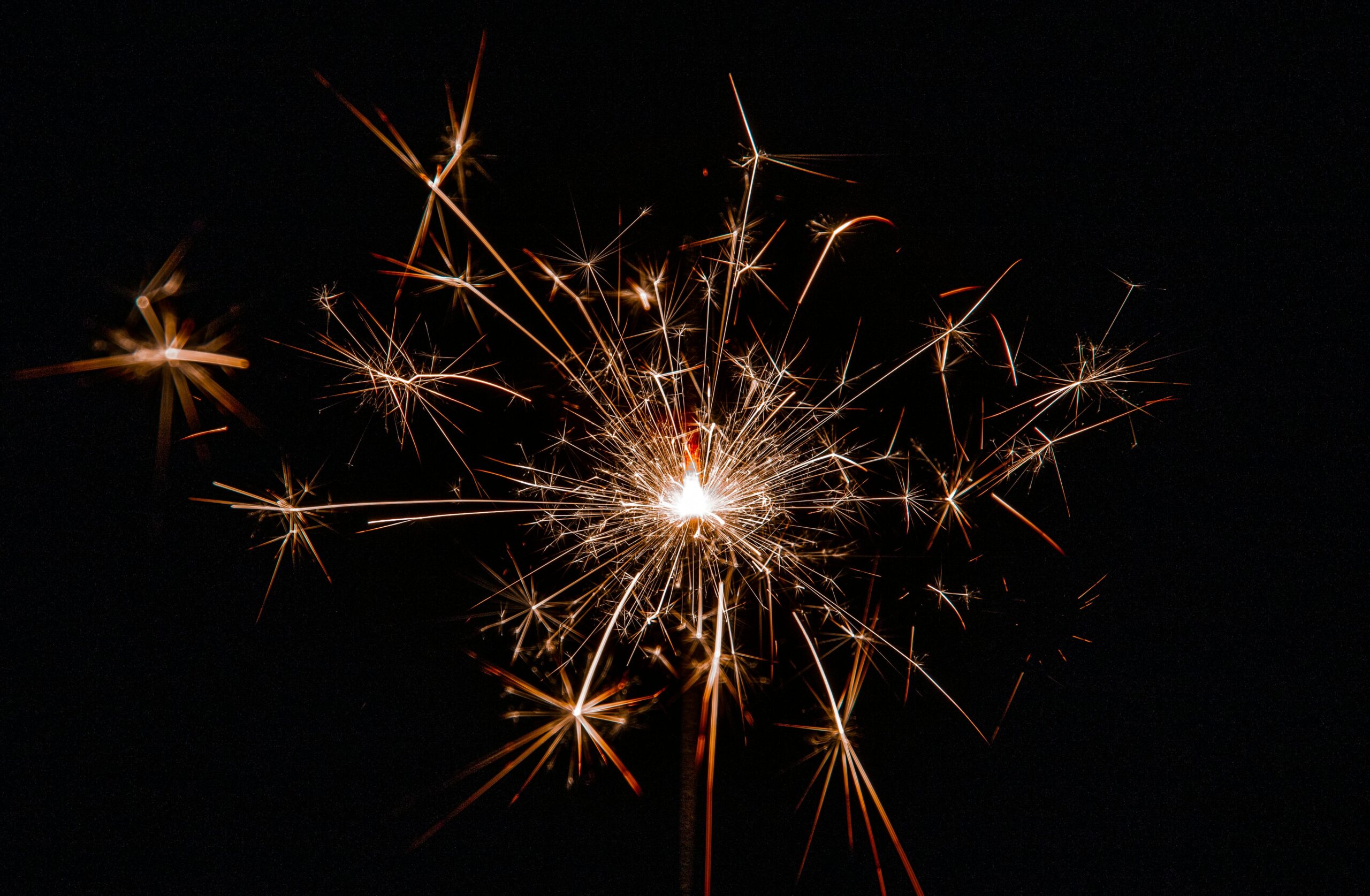 Lion Walk’s Christmas Lights Switch-On: A Night to Remember!